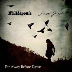 Sunset Forest : Far Away Before Dawn